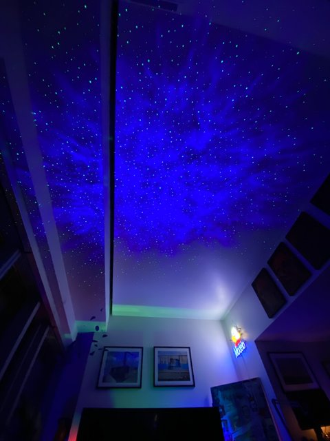 Starry Skies Illuminate This Indoor Oasis
