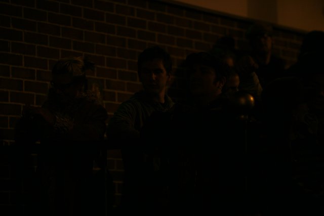 Audience in the Shadows