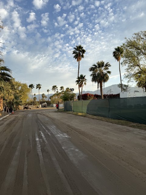 Palm-Lined Pathway at Dusk