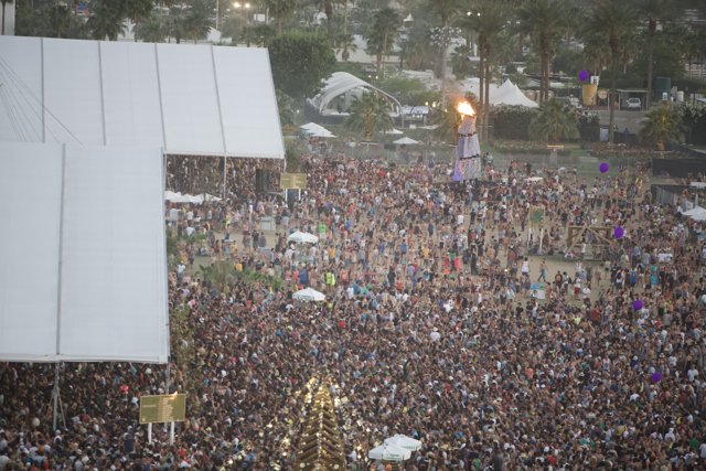 The Vibrant Crowd of Coachella