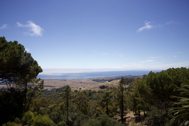 Tranquil Overlook