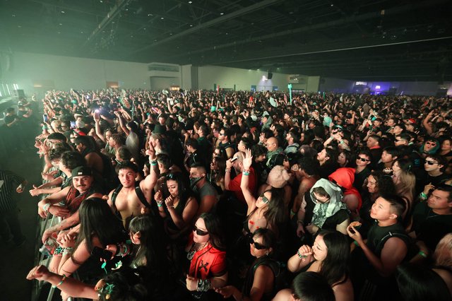 Massive Crowd Surges at Wobbleland 2026 Festival
