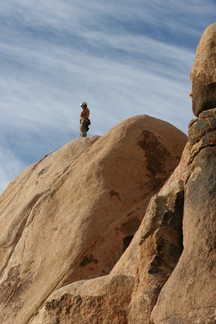 Standing Tall on the Desert Rock