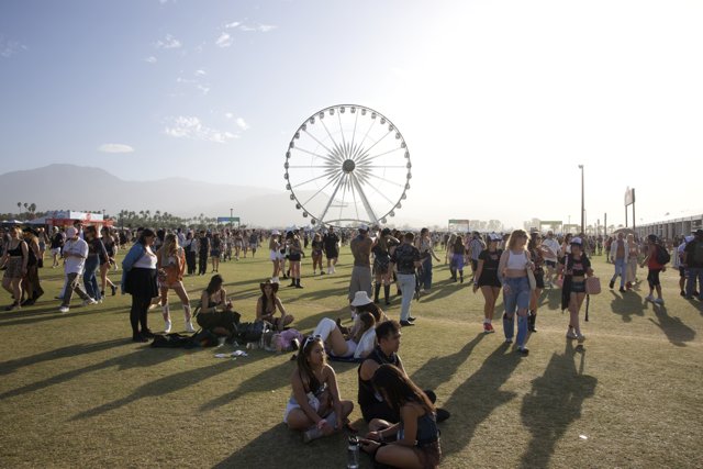 Sunny Reverie at Coachella 2024