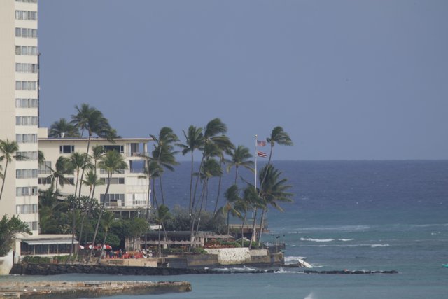 A Glimpse of Paradise: Seaside Resort and Palm Trees in Hawaii