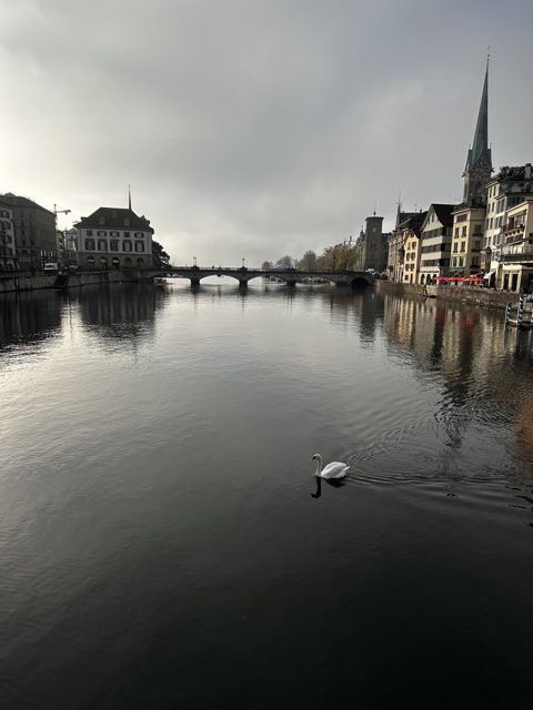 Cityscape of Zürich: Bridge and Church on a Waterfront
