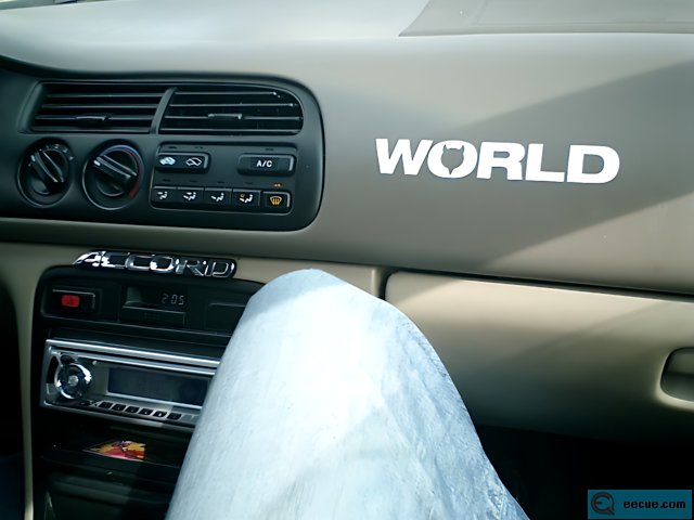 Around the World in a Car
