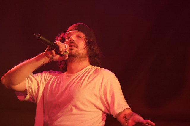 Aesop Rock Performing with the Crowd at Coachella