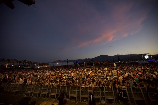 Coachella Concert Crowd