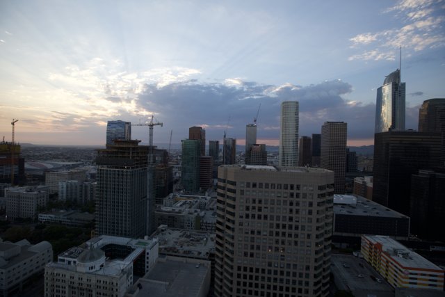 High Rise View of Los Angeles Cityscape