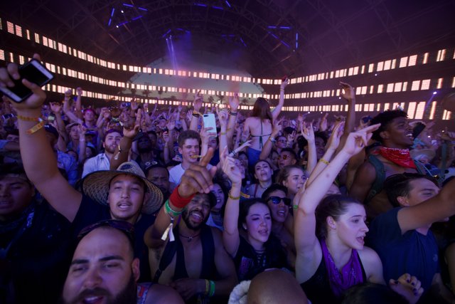 Hands Up in the Nightlife Crowd