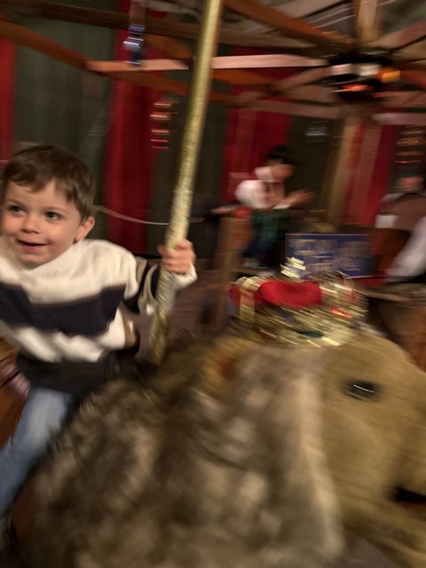 Joyful Ride on a Carousel