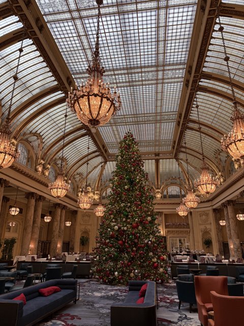 Festive Grandeur in San Francisco