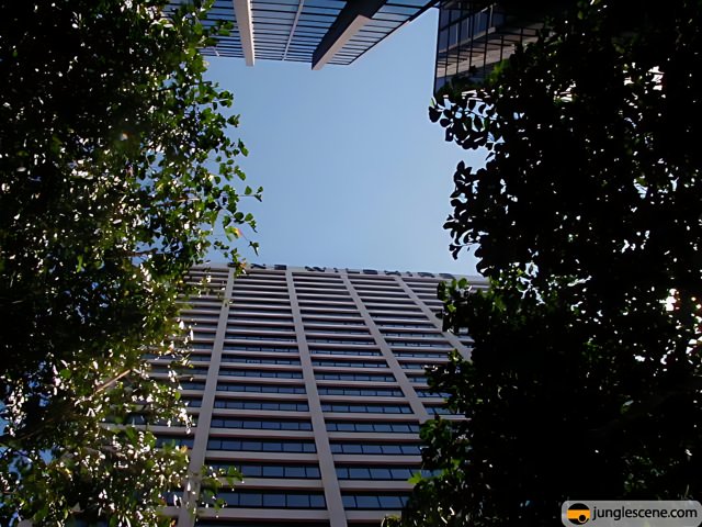 One Wilshire - A Skyscraper Oasis in the Metropolis