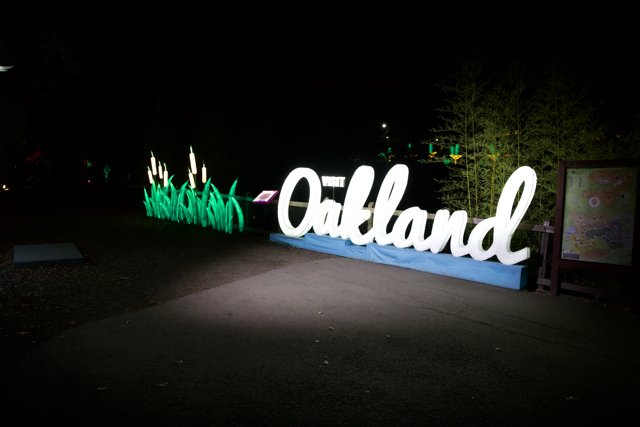 Night Lights at Oland Theme Park