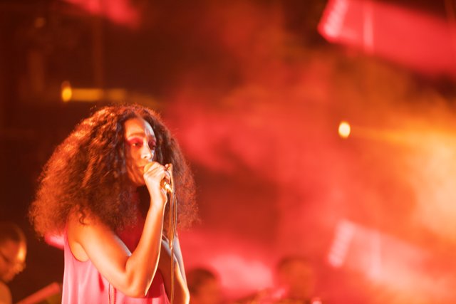 Solange Rocks the Natural History Museum Stage