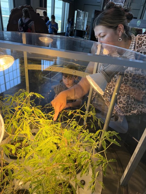 Curious Minds at the Aquarium