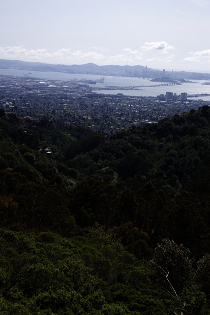 Soaring High Above the Berkeley Hills