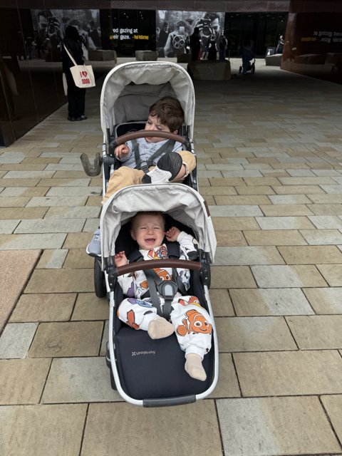 Strollers at the Museum