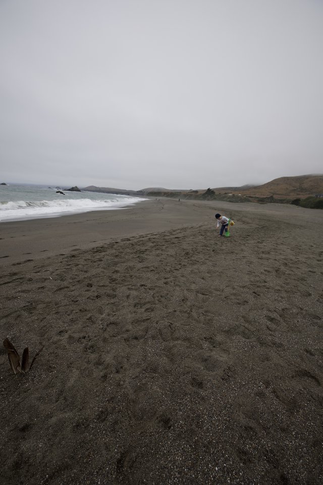 Child Exploring Foggy Northern California Coastline