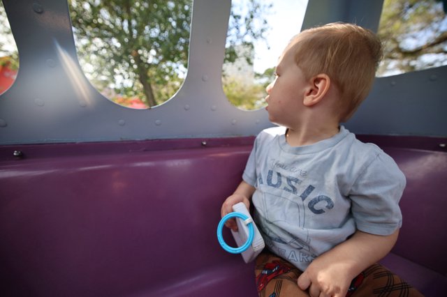 Young Child Gazing Out from Playground Structure