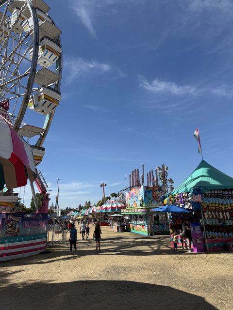 A Day at the Santa Rosa Fairgrounds