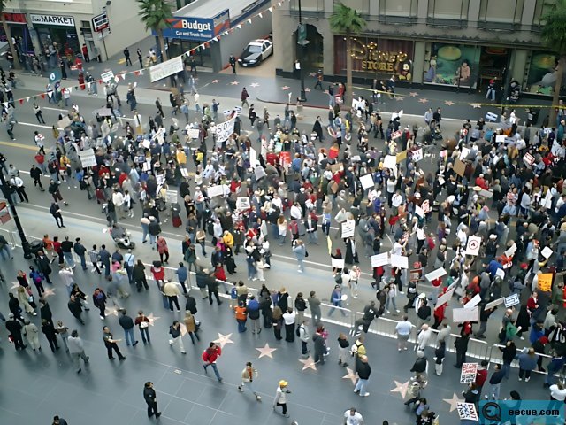 Protest in the City