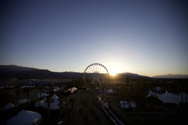 Sunset Delight at Coachella