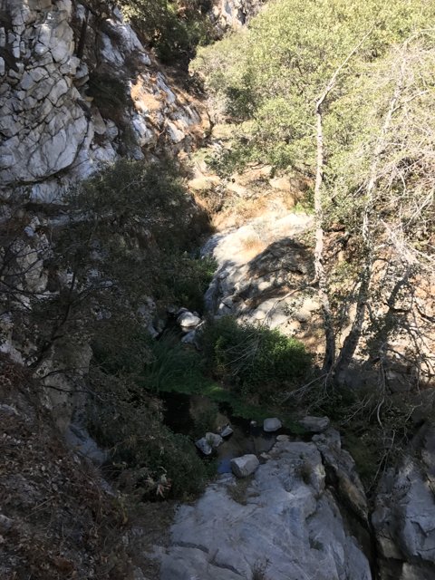 A Serene Stream through a Rocky Canyon