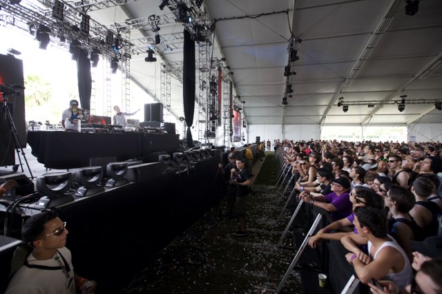 The Thrilling Crowd at Coachella Music Festival