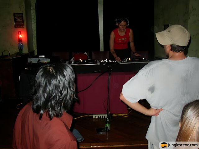 DJ Entertaining the Crowd