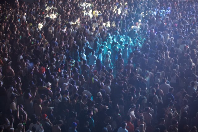 The Electric Energy of the Urban Concert Crowd