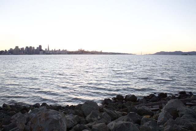 Cityscape from the Shoreline