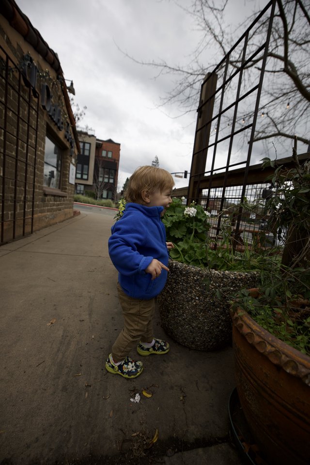 Toddler Exploring Urban Community Garden on Cloudy Day
