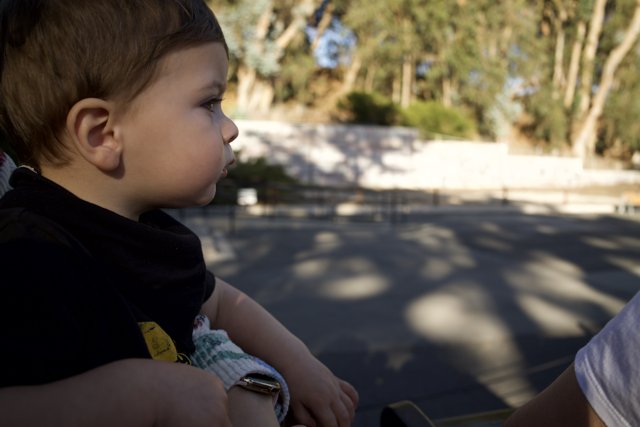 Curious Wesley's Day Out at the SF Zoo in November 2023