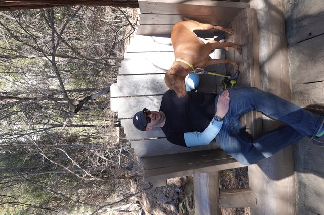 Man and Dog Relaxing on Desert Bench