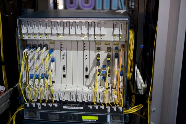 Fiber Optic Cables in a Server Room
