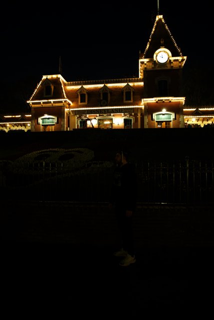 Magical Night at Disneyland with Wes