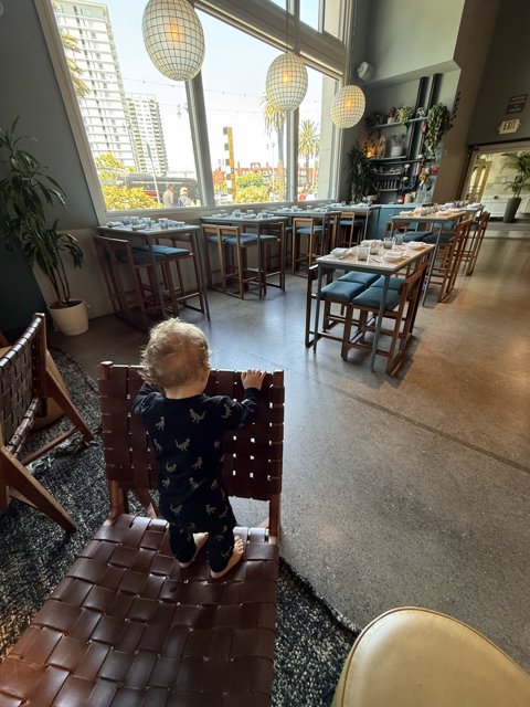 Curious Exploration