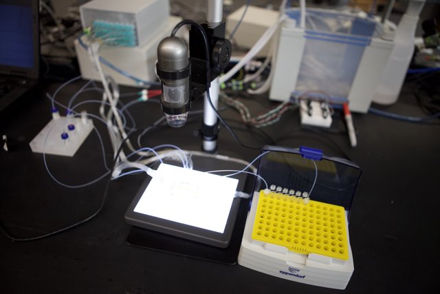 Microscope and Computer Setup in UCLA Micro Bio Chip Lab