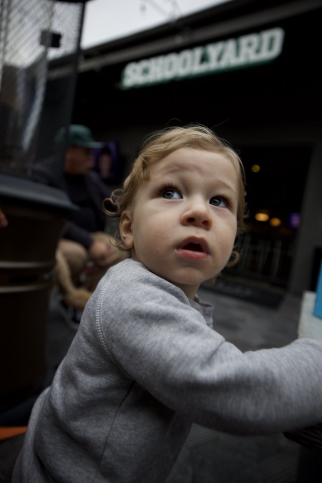 Young Child Gazing Up in Urban Street Setting