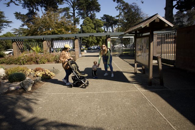 The Joyful Stroll: Motherhood in San Francisco
