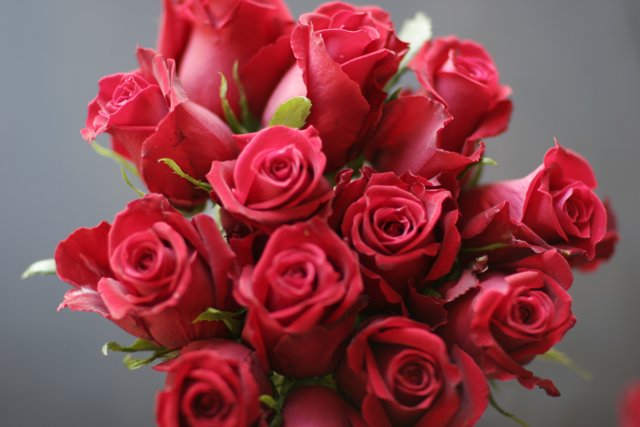 A Bouquet of Red Roses