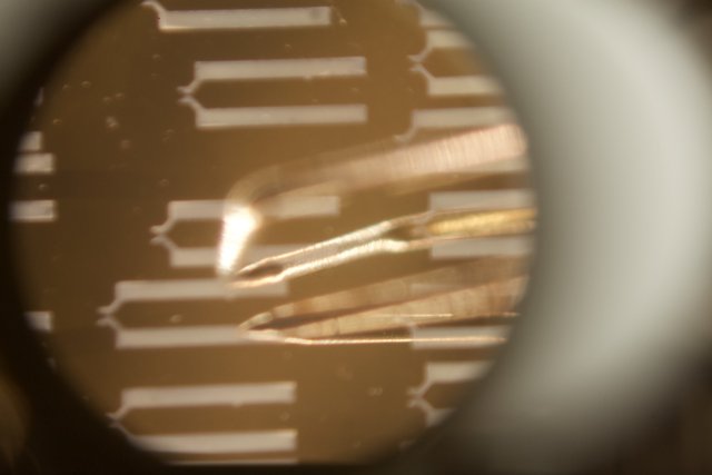 Microscopic Paper View