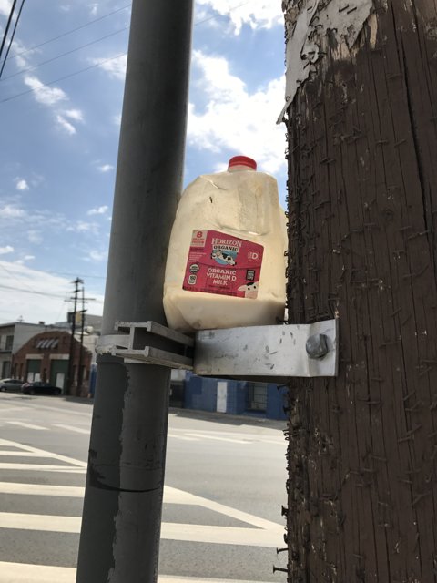 Milk on the Street