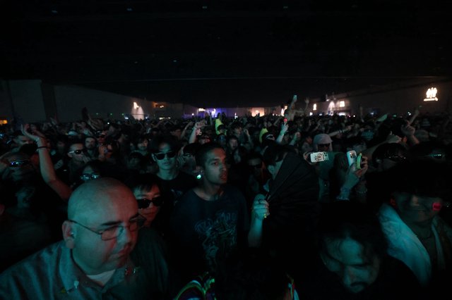 Massive Crowd Electric at Wobbleland 2026 Festival