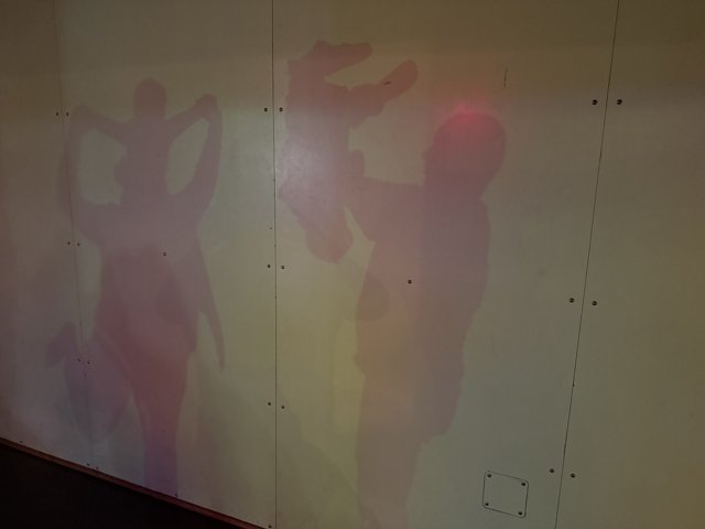 Shadows of Imagination