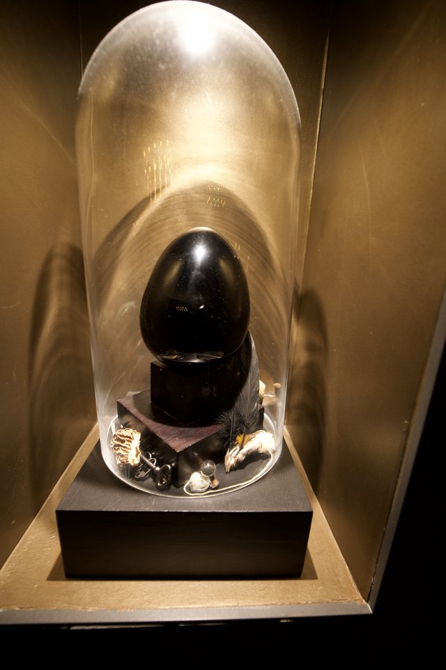 Black Egg Sculpture Under Glass Display