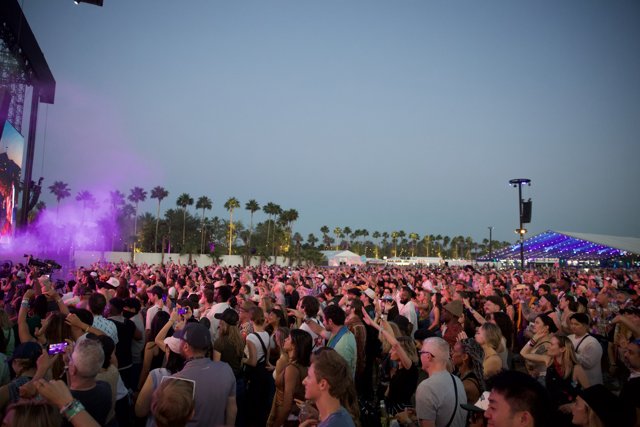 Electric Vibes Under Palm Trees: Coachella 2024