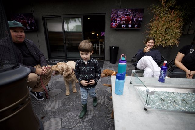 Family Patio Gathering with Dogs and Football